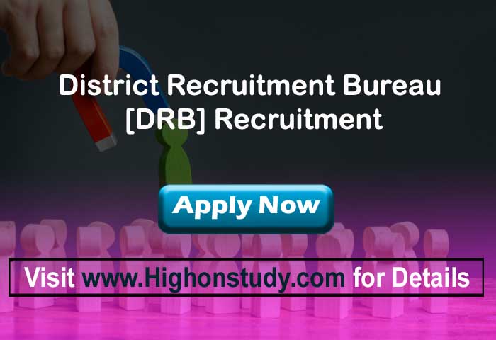 District Recruitment Bureau 2020 in Chennai 203 Assistant Posts - Highonstudy
