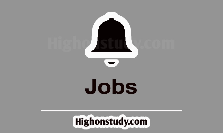 Punjab Anganwadi Recruitment 2023